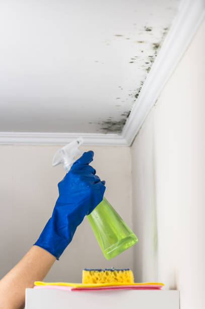 Mold Testing and Removal in Monon, IN